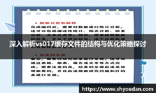 深入解析vs017缓存文件的结构与优化策略探讨