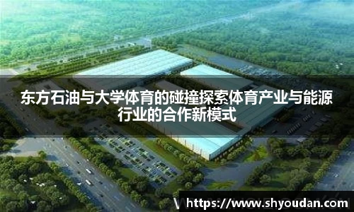 东方石油与大学体育的碰撞探索体育产业与能源行业的合作新模式